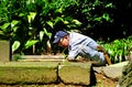 Japanese gardener clears weeds on the ground