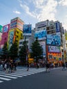 Shoppers and tourists crowd the colorful Akihabara district in Tokyo, famous for its electronics