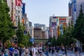 Shoppers and tourists crowd the colorful Akihabara district in Tokyo, famous for its electronics