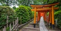 Nezu Jinja Shrine Red Torii Gates