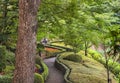 Thick trunk and zigzag pathway in the inner garden of the Hotel New Otani. Royalty Free Stock Photo