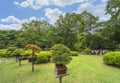 Traditional Japanese bonsai art trees exhibited in the Meiji Jingu Inner Garden.