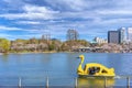 Family enjoying swan boat and cherry blossoms in the Shinobazu pond of Ueno.