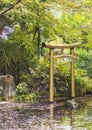 Golden torii in the pond covered of cherry blossoms petals at Atago shrine.