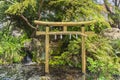 Japanese golden torii in the pond of Atago shrine covered with cherry blossoms petals.