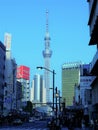 Tokyo, Japan March 25,2019 Landscape view Tokyo Sky Tree in Tokyo.View of Sumida river Royalty Free Stock Photo