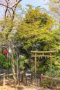 Pergola and Japanese gold foil torii gate in the pond of Atago shrine.