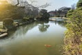 Red koi carp swimming in the pond of the Koishikawa Botanical Garden.