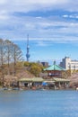 Tokyo Skytree and cherry blossoms of Shinobazu pond in Ueno. Royalty Free Stock Photo