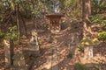 Shinto shrine and fox stone statues in the forest