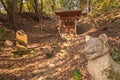 Shinto shrine and fox stone statues in the forest