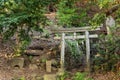 Shinto shrine Torii stone gate dedicated to fox deity Jiro-inari in the forest