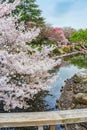 Springtime sakura blooming at Shinjuku Gyoen Park, Tokyo, Japan