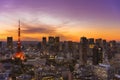 Stunning bird`s-eye view of the iconic Tokyo tower against a beautiful pink and orange colored sunset.