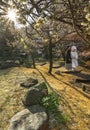 Traditional Japanese shinto wedding of a couple in black haori kimono and white shiromuku Royalty Free Stock Photo