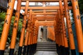 View of red Tunnel of Torii gate to Gojo Tenjinsha Shrine in Ueno park of Tokyo, Japan