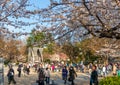 Visitors enjoy cherry blossom (Sakura) in Ueno Park, Tokyo, Japan