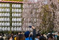 Visitors enjoy cherry blossom (Sakura) in Ueno Park, Tokyo, Japan