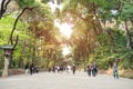 TOKYO, JAPAN - MARCH 31: Yoyogi park in Harajuku district