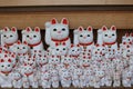 Gotokuji, the famous cat shrine in tokyo, which the beckoning cat is its mascot