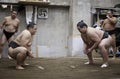 TOKYO, JAPAN - May 18, 2016: Japanese sumo wrestler training in their stall in Tokyo on May 18. 2016