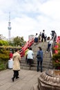 Tokyo, Japan, May 1, 2019 : Unidentified tourist travel to see bloom fuji wisteria at Kameido Tenjin shrine