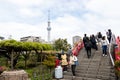 Tokyo, Japan, May 1, 2019 : Unidentified tourist travel to see bloom fuji wisteria at Kameido Tenjin shrine with Tokyo skytree