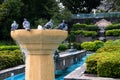 Pigeons, Park, Water Fountain, Birds