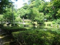 Tokyo japan nature scenery