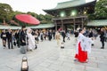 TOKYO,JAPAN-NOV 20 :A Japanese wedding ceremony at Meiji Jingu S Royalty Free Stock Photo