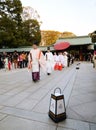 TOKYO,JAPAN-NOV 20 :Japanese wedding ceremony Royalty Free Stock Photo