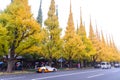 TOKYO, JAPAN - NOVEMBER 19, 2016. Icho Namiki/Ginkgo Avenue, Meiji Jingu Gaien Park, japanese people and tourists have a nice Royalty Free Stock Photo