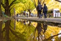 TOKYO, JAPAN - NOVEMBER 19, 2016. Icho Namiki/Ginkgo Avenue, Meiji Jingu Gaien Park, japanese people and tourists have a nice Royalty Free Stock Photo