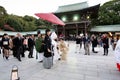 Tokyo, Japan - November 23, 2013: Japanese wedding ceremony at Meiji Jingu Shrine. Royalty Free Stock Photo