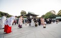 Tokyo, Japan - November 23, 2013: Japanese wedding ceremony at Meiji Jingu Shrine Royalty Free Stock Photo