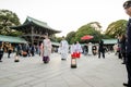 Tokyo, Japan - November 23, 2013: Japanese wedding ceremony at Shrine. Royalty Free Stock Photo