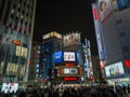 TOKYO, JAPAN - 5 NOVEMBER 2018.Shinjuku Kabukicho entertainment district at night.Neon Signs Illuminate.View of cityscape at night Royalty Free Stock Photo