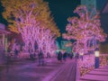 Tokyo, Japan November 20 2017: Shinjuku\'s enchanting Christmas illuminations. Shimmering trees cast a magical glow