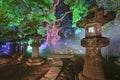 Lighted up stone lanterns and the Okusu camphor tree of Ueno TÃÂshÃÂ-gÃÂ« shrine at night.