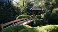 Tokyo, Japan, November 2012: traditional Japanese garden with lake and bridge. Royalty Free Stock Photo