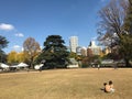 Two Japanese boy were playing together in autumn season at Shinjuku National Gyeon