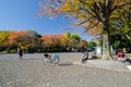 Tokyo, Japan - November 22, 2013: Visitors enjoy colorful trees in Ueno Park, Tokyo