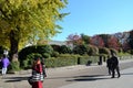 Tokyo, Japan - November 22, 2013: Visitors enjoy colorful trees