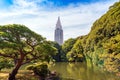 TOKYO, JAPAN - OCTOBER 31, 2017: Autumn in the Shinjuku park. Copy space for text.