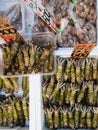 Fresh wasabi selling at Tsukiji Fish Market in Tokyo