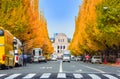 TOKYO,JAPAN-OCTOBER 24,2016:Tokyo rich yellow ginkgo tree along both side of Jingu gaien avanue in autumn with cars-bus and Meiji