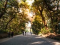 Torii, a traditional Japanese gate at the entrance of Meiji Shrine located in Shibuya, Tokyo, Japan. Royalty Free Stock Photo