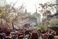 Tokyo, Japan, 04/04/2017: People walking in the Ueno park on a sakura blossom festival