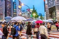 Tokyo, Japan - Sep 28th 2018 - A big group of people crossing a road with umbrellas in downtown Tokyo in a late afternoon, Japan