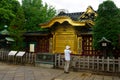 Golden doors of Toshogu shrine famous temple in Ueno Park. Karamon Chinese style gate